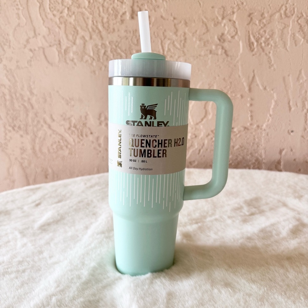 *NEW*Limited Edition Stanley 30oz Soft Rain Mint & Box - Picture 1 of 7